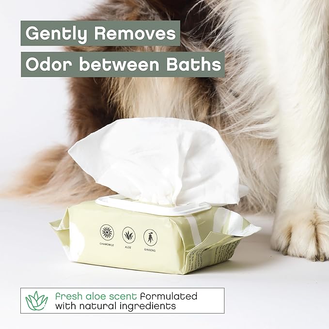Renewing Aloe and Bamboo Dog Wipes by Floof - Cleansing, Moisturizing, Hypoallergenic Wipes for Paws, Face, Body | Natural Fragrance | Safe for All Breeds | Vet Dermatologist Formulated | 30 Wipes (1)