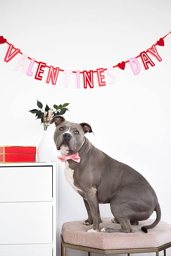 Pearhead Be My Valentine Pet Bandana, Valentine’s Day Slide-On Dog Bandana, Dog Apparel, Pet Accessory, M/L