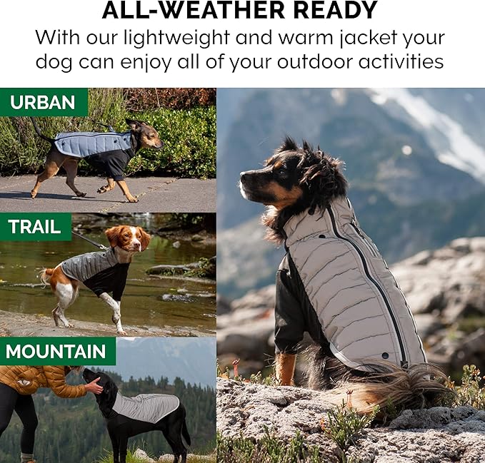 Furhaven Water-Repellent Medium Dog Coat, Washable & Reflective w/ Leash Access & Stretch Fabric - Pro-Fit Active Jacket - Chrome, Medium