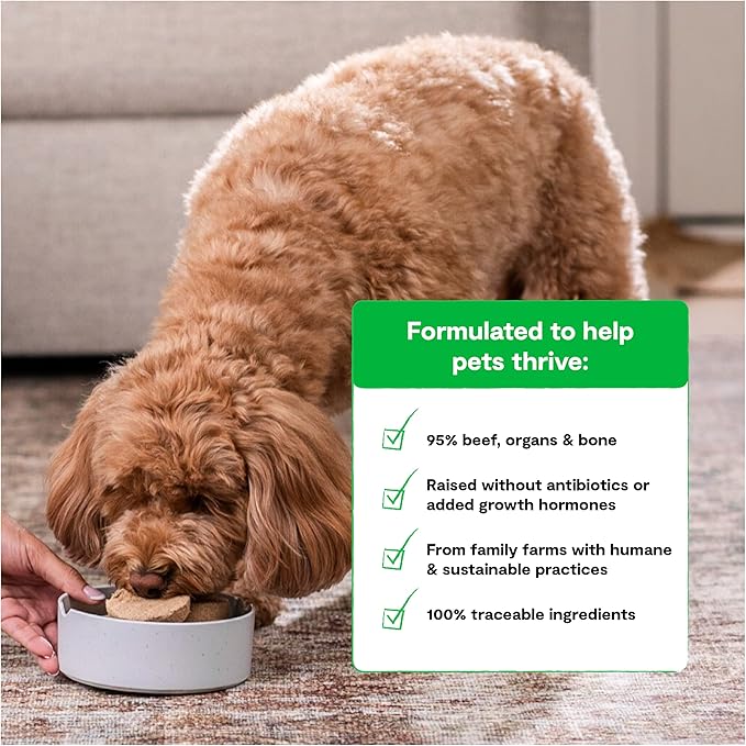 Open Farm Freeze Dried Raw Patties for Dogs, Humanely Raised Meat Recipe with Non-GMO Superfoods and No Artificial Flavors or Preservatives, Grass Fed Beef Recipe, 10.5oz