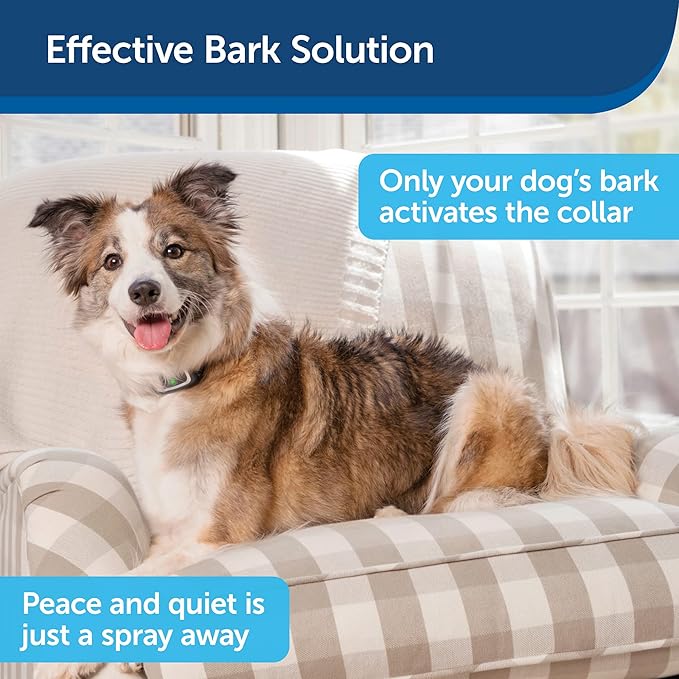 PetSafe Spray Bark Dog Collar, Automatic No Bark Device for Dogs 8 lb. and Up - Rechargeable and Water-Resistant – includes Citronella and Unscented Spray Refills & USB Charging Cable, Navy