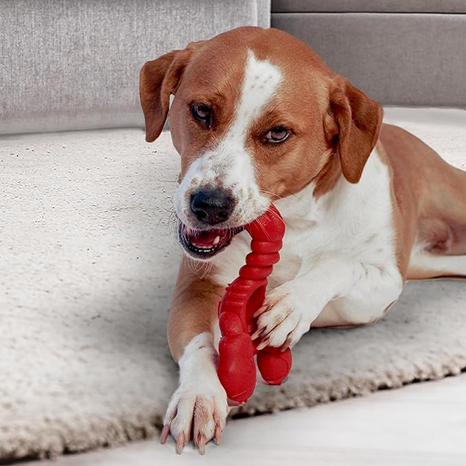 Nylabone Lobster Dog Toy Power Chew – Cute Dog Toys for Aggressive Chewers – with a Funny Twist! Filet Mignon Flavor, X-Large/Souper