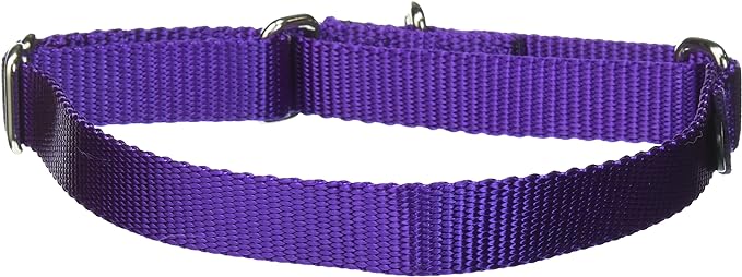 PetSafe Martingale Collar, 3/4" Medium, Deep Purple