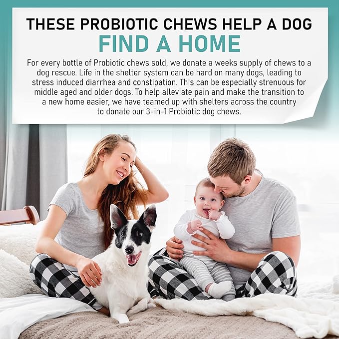 Probiotic Chews for Dogs, Support Digestive Health, Dog Probiotics and Digestive Enzymes, Dog Probiotic Chews, Probiotic Dogs, Puppy Probiotic, Pet Probiotics for Dogs - 120 Soft Chews