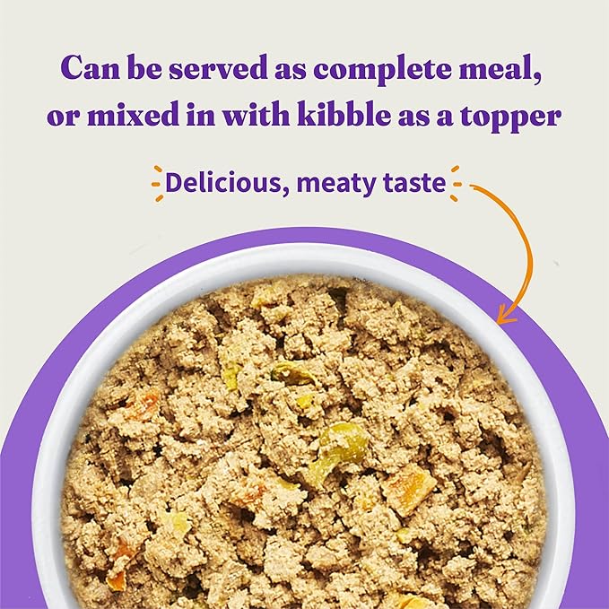 Halo Adult Wet Dog Food, Beef Recipe in Broth, Great as Nutritious Meals or Healthy Dog Food Toppers, 13.2 oz Dog Food Can (Pack of 6)