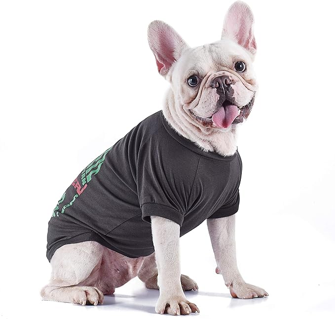 Star Wars for Pets Boba Fett Dog Tee Shirt | Soft and Comfortable Pull Over Dog Tshirt, Medium | Medium Sized Dog Shirt for Mid-Sized Dogs, Machine Washable Dog Apparel & Accessories