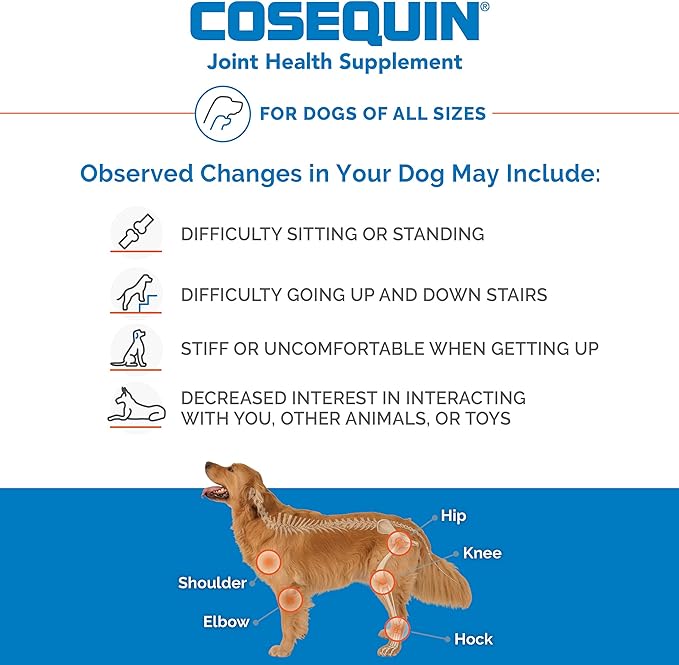 Nutramax Laboratories Cosequin Maximum Strength Joint Health Supplement for Dogs - With Glucosamine, Chondroitin, and MSM, 250 Chewable Tablets