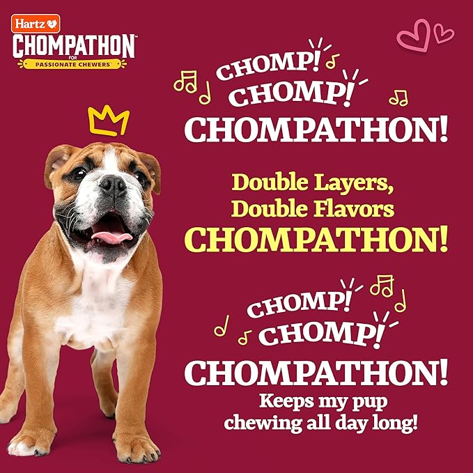 Hartz New Chompathon Rock 'N Rib Bone Dog Chew Toy for Aggressive Chewers, Double Layered Flavored with Chicken & Beef