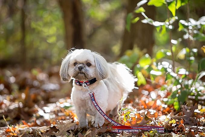 MLB PET Leash, Small, New York Mets Dog Leash, Shiny & Colorful Baseball Team Leash for Dogs & Cats Licensed by the MLB