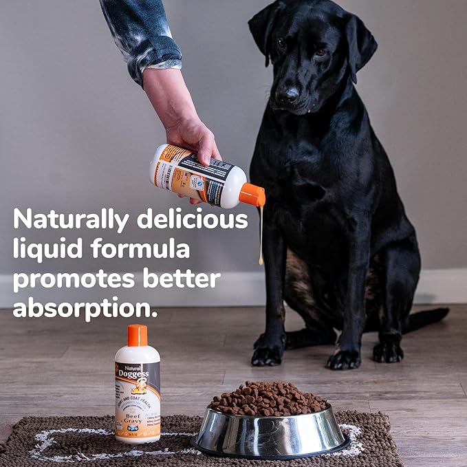 Dressing Best Hip and Joint Supplement for Dogs, Glucosamine & Chondroitin/Joint Health/Salmon Oil for Dogs Skin and Coat Health, Delicious Beef Gravy Flavor, 32 Oz