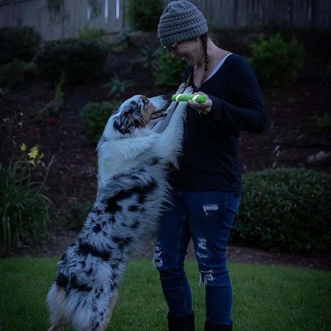 Chuckit! Max Glow Ultra Fetch Stick Outdoor Dog Toy, 12 Inches, for All Breed Sizes
