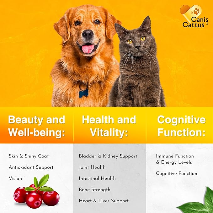 Vitamins for Dogs | Cat Vitamins | Liquid Multivitamin for Dogs | Multivitamin for Cats | Dog Vitamins Multivitamin | Cat Vitamin | Pure Ingredients | 1 oz