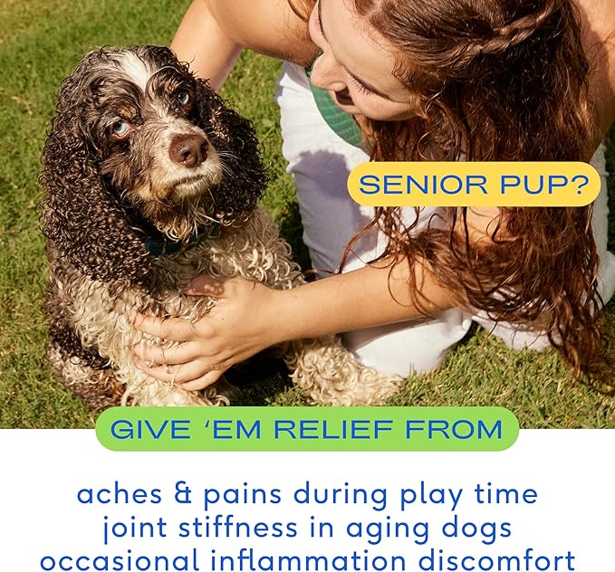 Native Pet Relief - Anti Inflammatory for Dogs | Turmeric + Polyphenols + Green Lipped Mussels for Dogs | Natural Relief for Dogs | Best Dog Arthritis Supplement & Dog Joint Pain Relief | 30 Chews