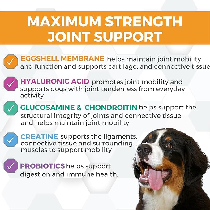 Nootie ProgilityMAX Hip & Joint Supplement for Large Dogs, Maximum Strength Dog Joint Support with Eggshell Membrane, Glucosamine and Chondroitin, 60 count