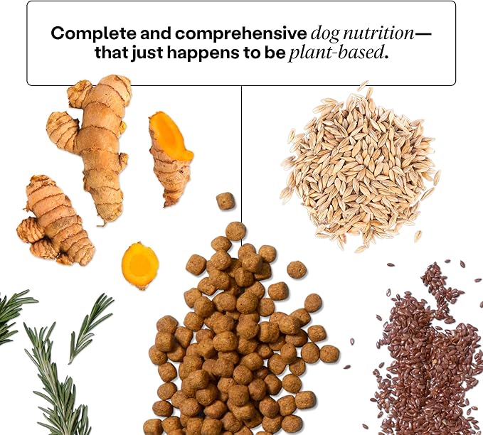 Wild Earth Vegan Dry Dog Food | Plant-Based Maintenance Formula | Vegetarian, Allergy Relief, Veterinarian-Developed for Complete Nutrition | Golden Rotisserie Flavor, 28 Pound Bag