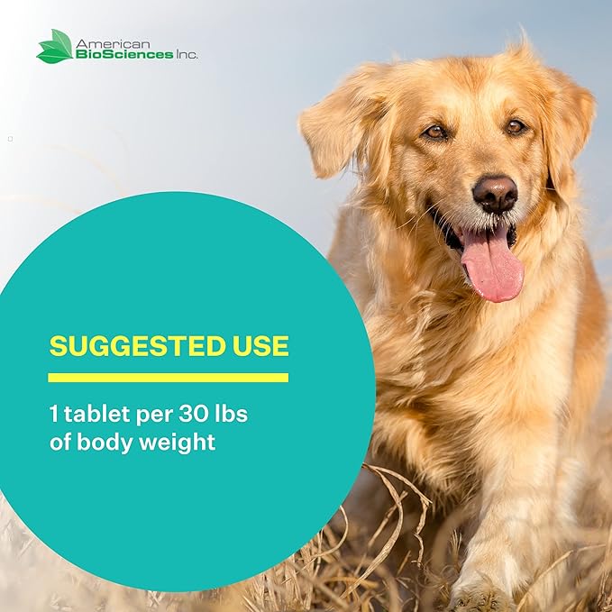 DGP 2-Pack, All-Natural Joint Supplement for Dogs - Joint Support with Turmeric, Boswellia Extract & More - Quick Effect for Immediate Mobility Support - 60 Chewable Pet Tablets