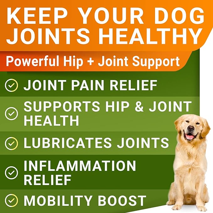 Glucosamine for Large Dogs - Joint Supplement Large Breed w/ Omega-3 Fish Oil - Chondroitin, MSM - Advanced Mobility Chews - Joint Pain Relief - Hip & Joint Care - Chicken Flavor - 360Ct - Made in USA