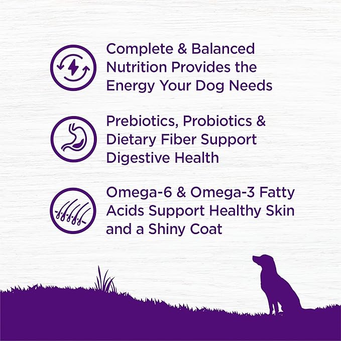 Wellness Complete Health Grain Free Adult Dry Dog Food, Lamb & Lamb Meal Recipe, 22 Pound Bag