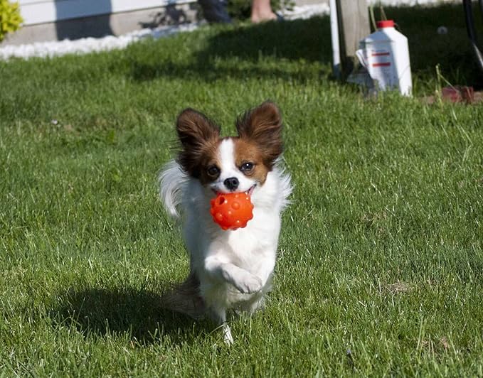 Jolly Pets Orange Jolly Jumper Ball Dog Toy 3 in