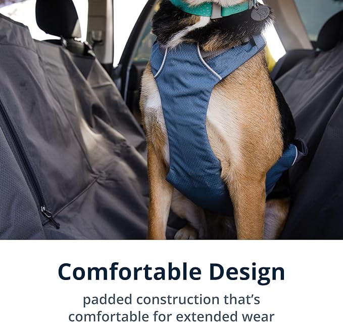 Ruffwear, Load Up Dog Harness, Strength-Rated Car Safety Harness with Universal Seat Belt Attachment, Slate Blue, Small