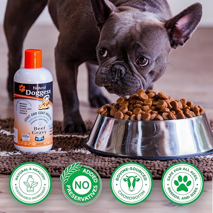 Dressing Best Hip and Joint Supplement for Dogs, Glucosamine & Chondroitin/Joint Health/Salmon Oil for Dogs Skin and Coat Health, Delicious Beef Gravy Flavor, 32 Oz