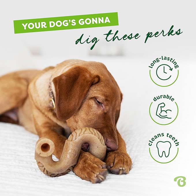 Benebone Tripe Bone Durable Dog Chew Toy for Aggressive Chewers, Real Tripe, Made in USA, Giant