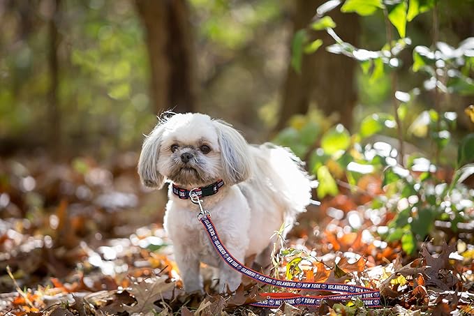 Pets First NHL New York Islanders Leash for Dogs & Cats, Medium. - Walk Cute & Stylish! The Ultimate Hockey Fan Leash!, Medium (4 ft Long x 0.62 in Width) (ISL-3031-MD)