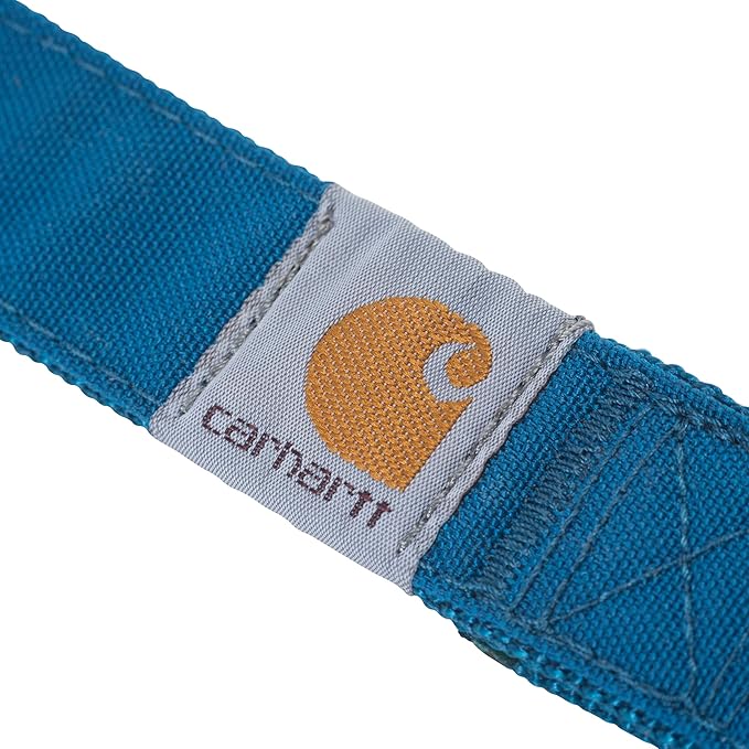 Carhartt Pet Durable Nylon Duck Leashes for Dogs, Reflective Stitching for Visibility, Marine Blue, Small