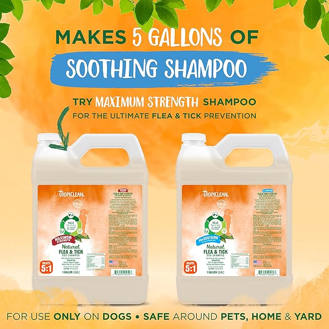 TropiClean Soothing Natural Flea and Tick Dog Shampoo | Natural Flea and Tick Prevention for Dogs | Made in the USA | 1 Gallon