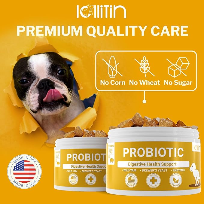Probiotics for Dogs - Support Gut & Digestive Health, Immune Support - All Nautral Prebiotics, Fiber, Enzymes for Gut Flora - Diarrhea & Bowel Support - Bacon Flavor, 120 Chews, by Lollitin