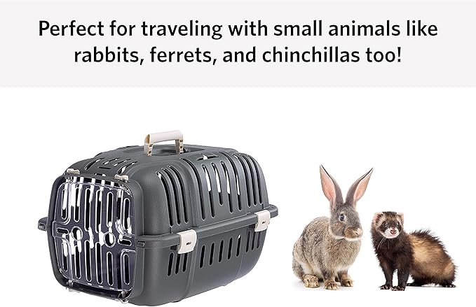 Ferplast Jet Pet Carrier: Value Dog Carrier Suitable for XS Dog Breeds & Small Cats, Assembled Dimensions: 22L x 14.5W x 13H inches, Gray, (73043021PBUS)