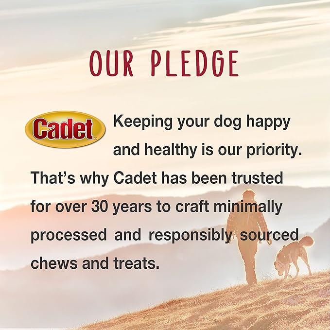 Cadet Gourmet Duck Jerky Dog Treats - Healthy & Natural Duck Dog Training Treats for Small & Large Dogs - Inspected & Tested in USA (14 oz.)