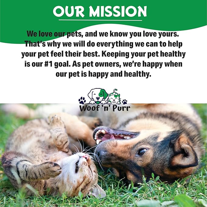 Natural Gas Relief for Dogs - Dog Gas Relief - Dog Constipation Relief - Constipation Relief for Dogs - Dog Gas - Dog Constipation - Dog Gas Aid - Dog Vitamins and Supplements - 1 fl oz - Bacon Flavor