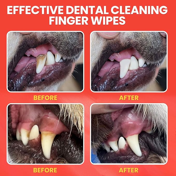 Dog Teeth Cleaning Wipes, Freshen Oral Odor & Remove Tartar Buildup, Disposabl Dog Dental Care Finger Wipes for Cleaning & Gum Care, Universal for Dogs & Cats, 50 Counts (Mint Flavor)