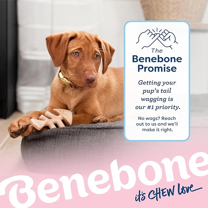Benebone Puppy Fishbone Dog Chew Toys, Softer for Modest Chewers, Made in USA