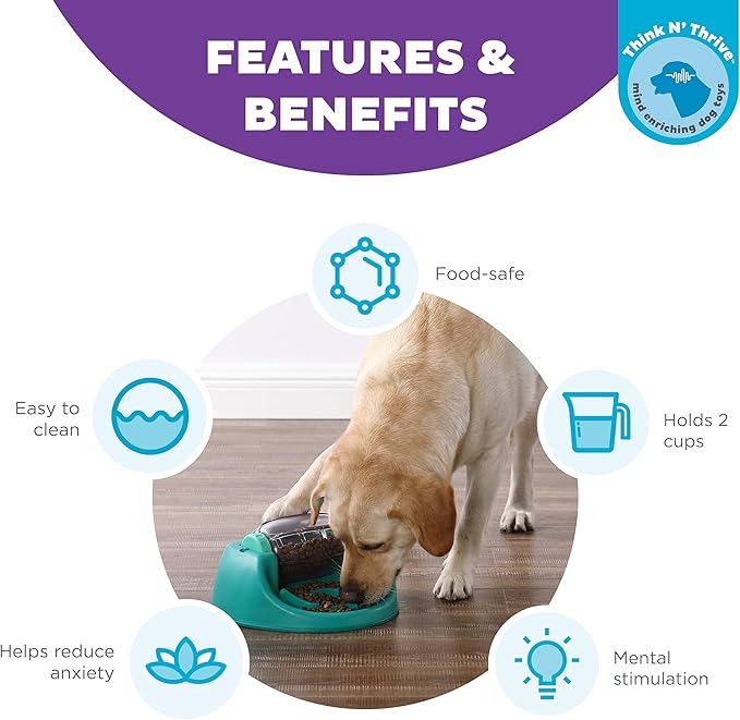 Nina Ottosson by Outward Hound Dog Spin N' Eat Interactive Dog Food Puzzle Slow Feeder, Level 2 Intermediate Dog Enrichment Toy, Green