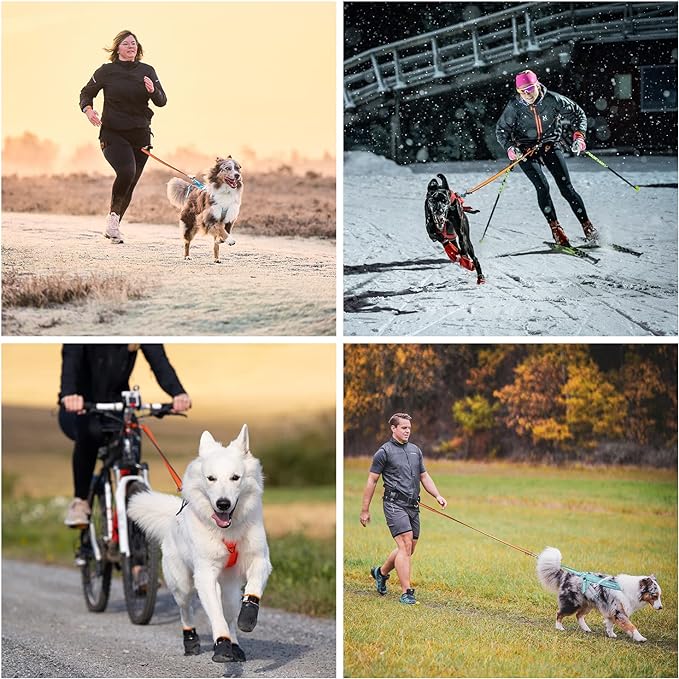 Non-stop dogwear Bungee leash Elastic Dog Leash for Sports like Running, Biking and Skiing with Dogs, Black/Orange, Size 2.0 m / 23 mm