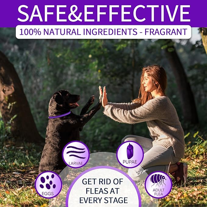 4 Pack Flea Collar for Dogs, Dog Flea and Tick Collar 8 Months Flea and Tick Prevent for Dog, Waterproof Adjustable Dog Flea Collar, Tick and Flea Collar for Large Small Dogs Puppy Flea Collar, Purple