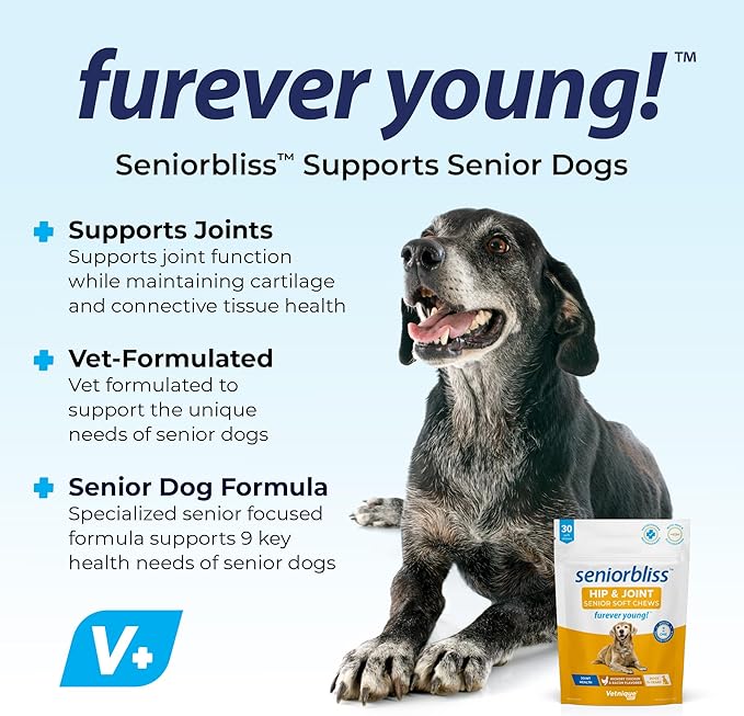 Vetnique Seniorbliss Senior Dog Joint Supplement with Glucosamine and Chondroitin for Dogs Joint Support and Healthy Cartilage Development - for Small & Large Breeds (Hip & Joint Chew, 30ct)