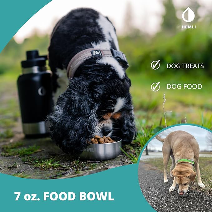 Dog Water Bottle Insulated Dog Travel Water Bottle Stainless Steel Pet Water Bottle Dispenser Portable Food and Water Bowl for Dogs with Carrying Case for Dog Walking (Purple Green Glitter, 32 oz)