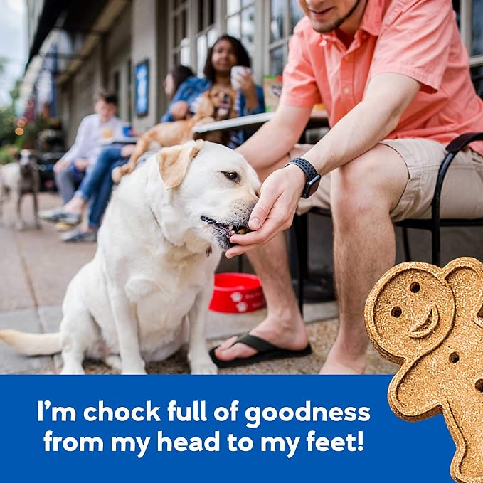 Buddy Biscuit Softies 6 oz Pouch, Soft & Chewy, Natural Bacon and Cheese Flavor Dog Treats, Oven Baked in the USA