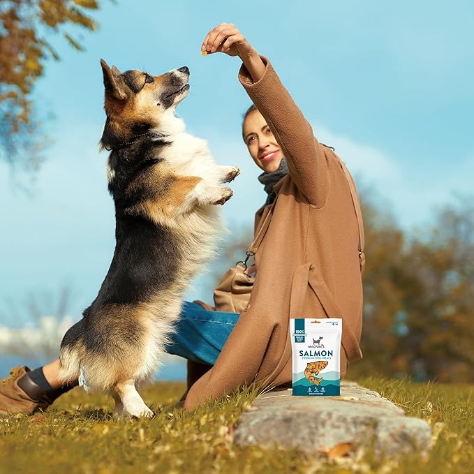 McLovin's Salmon Freeze Dried Treats, 3x2.5oz (7.5oz), High-Protein Grain-Free Dog Training Rewards, All-Natural, Made in USA