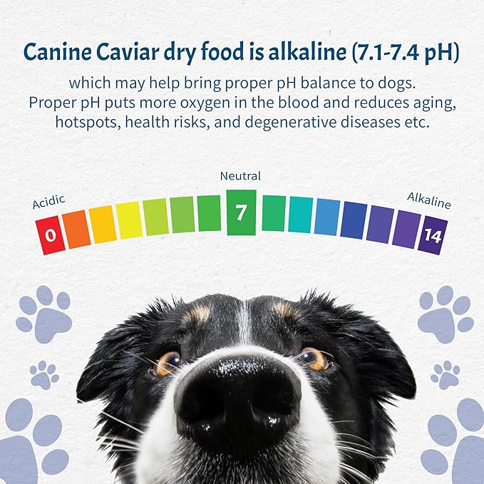 Canine Caviar Wild Ocean Dog Food – Limited Ingredient Alkaline Holistic Dog Food – All Life Stages – Gluten Free, Ultra-Premium Dog Food – Healthy Skin & Coat – Herring & Quinoa – 4.4 lbs