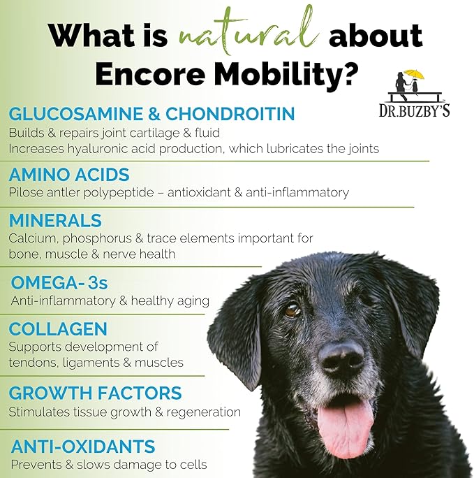 Dr. Buzby’s Encore Mobility Hip & Joint Supplement for Senior Dogs, 90 Chewable Tablets, Natural New Zealand Deer Velvet and Green Lipped Mussel, Pet Pain Relief