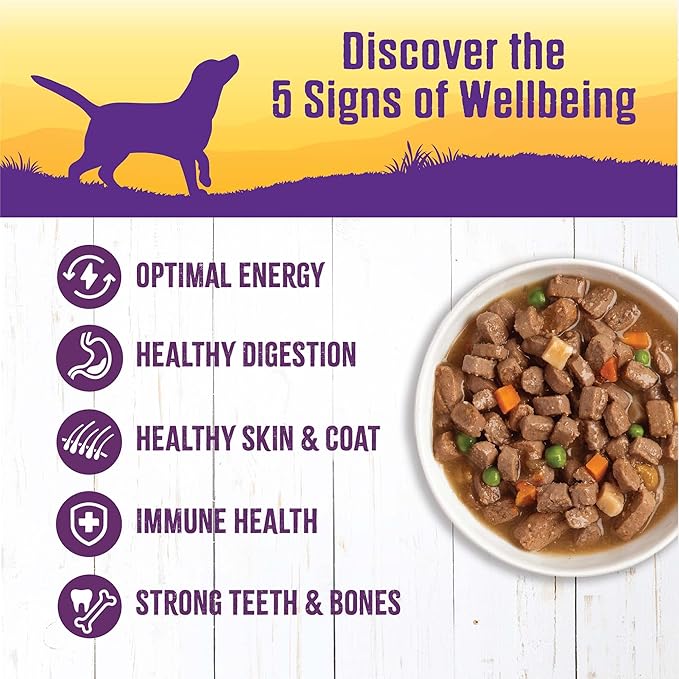 Wellness Thick & Chunky Natural Grain Free Canned Dog Food, Chicken Stew, 12.5-Ounce Can (Pack of 12)