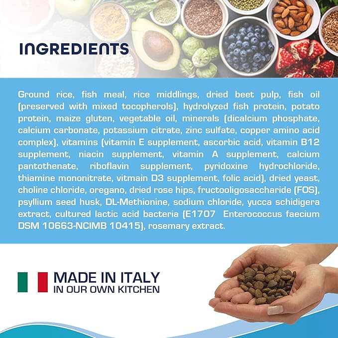 Forza10 Active Dry Intestinal Dog Food, Gastrointestinal Dog Food, Digestive and Intestinal Diet Dry Dog Food for Adult and All Breeds