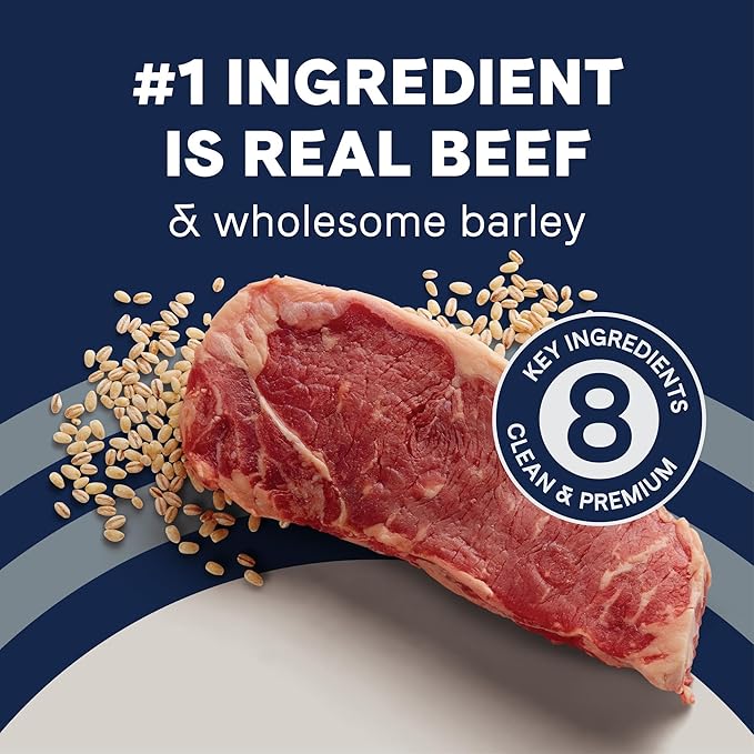 CANIDAE Pure Limited Ingredient Premium Adult Dry Dog Food, Real Beef & Barley Recipe, 22 lbs, with Wholesome Grains
