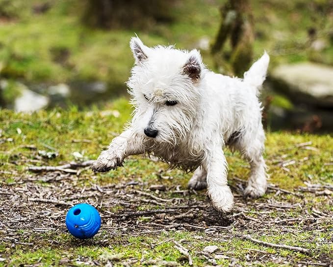 Chuckit! Crunch Ball Dog Toy, Medium (Pack of 2)