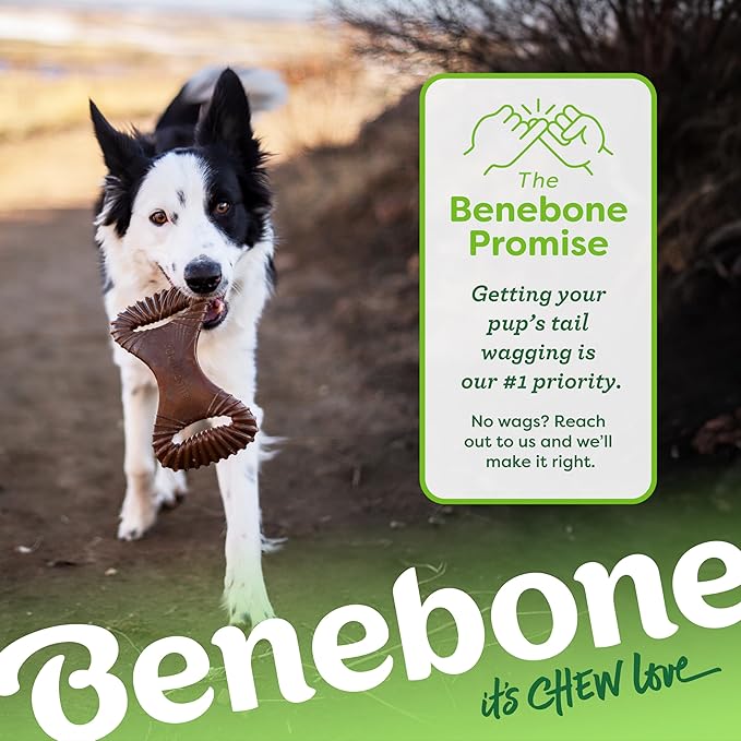 Benebone Dental Durable Dog Chew Toy for Aggressive Chewers, Real Peanut, Made in USA, Small
