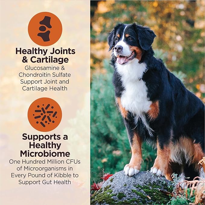 Wellness CORE Digestive Health Large Breed Chicken & Brown Rice Dry Dog Food, 24 Pound Bag
